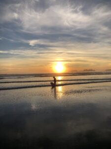 justgo tofino beach long beach